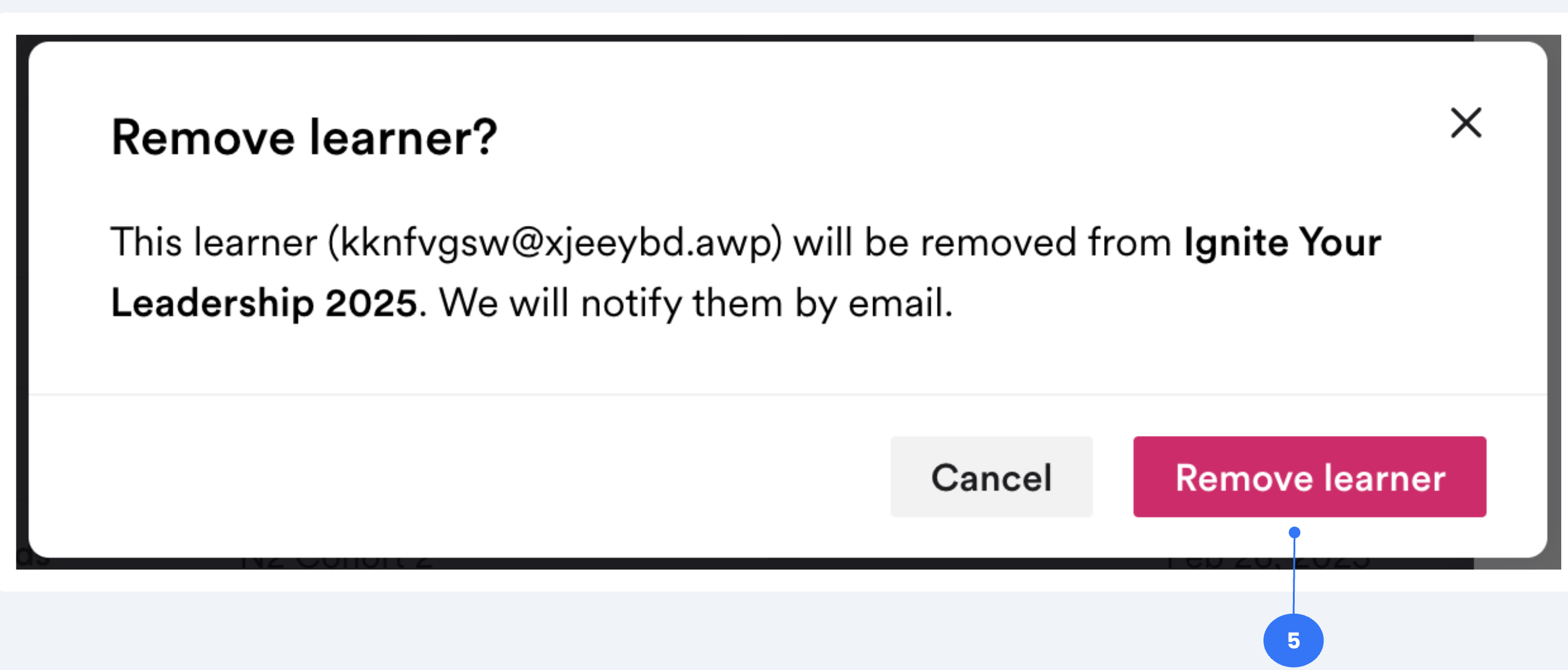 Screenshot 2025-03-05 at 9.35.17 AM.png